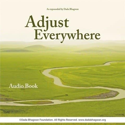 Adjust Everywhere